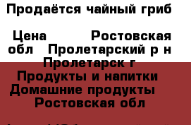 Продаётся чайный гриб › Цена ­ 100 - Ростовская обл., Пролетарский р-н, Пролетарск г. Продукты и напитки » Домашние продукты   . Ростовская обл.